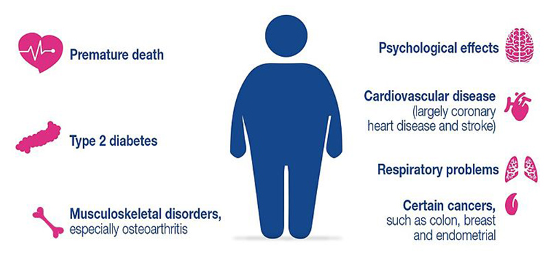 Obesity of heart attack causes