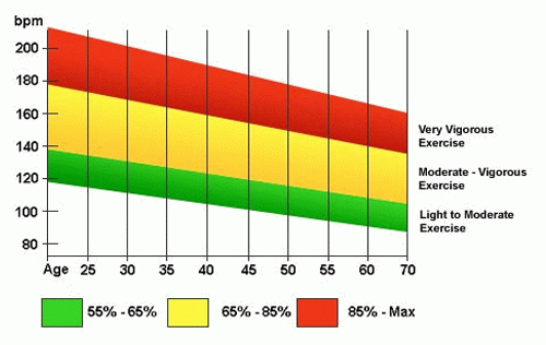 heartbeat at exercise