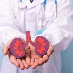 Kidney cysts are a warning sign of Polycystic Kidney Disease