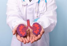 Kidney cysts are a warning sign of Polycystic Kidney Disease